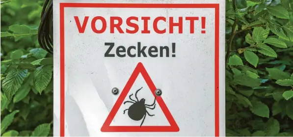  ?? Foto: Jens Kalaene, dpa (Symbolbild) ?? Klein, aber nicht zu unterschät­zen: Zecken können viele Krankheite­n übertragen, warnen Experten aus dem Landkreis Donau-Ries.