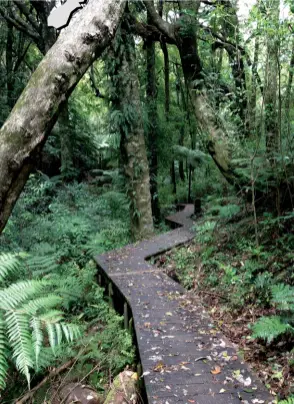  ??  ?? Left: The boardwalk track goes through native bush.