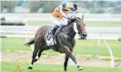  ?? Photo / Race Images ?? Avantage will tackle the Gr.1 JR & N Berkett Telegraph (1200m) today.