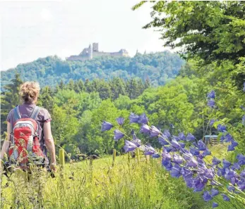  ?? FOTOS: KING ?? Unterwegs in Luxemburg: saftige Wiesen, leuchtende­r Fingerhut, Wald und öfter eine Burg im Blick.