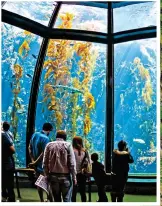  ?? Bay Aquarium ?? UNDER THE SEA: The Monterey