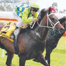  ?? Picture: TASRACING ?? HE’S BACK: Jason Maskiell in the saddle.