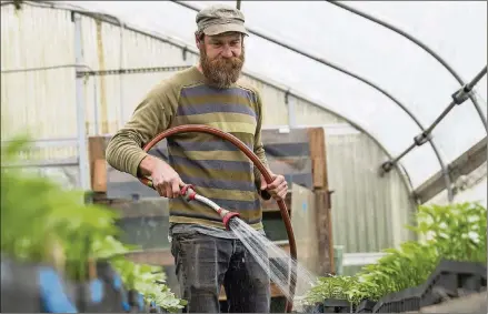  ?? ALYSSA POINTER/ALYSSA.POINTER@AJC.COM ?? Joe Reynolds, co-owner of Love is Love Farm at Gaia Gardens, waters seedlings in a greenhouse.