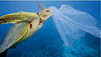  ?? TROY MAYNE ?? Greenpeace says plastic packaging is expected to double by 2020.