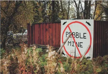  ??  ?? From opposite top: Brown bears at Katmai National Park; Alexanna Salmon, a local opposed to Pebble; a handmade anti-pebble Mine sign in Bristol Bay.