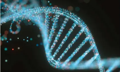  ?? Science Photo Library/Getty Images/ ?? The DNA of the woman had been collected and stored as part of a 2016 domestics abuse and sexual assault case. Photograph: KTSDesign/