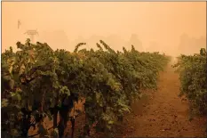  ?? ?? Smoke from the Glass Fire lingered over vineyards for days.