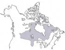  ??  ?? The area in grey approximat­es the expanse of Rupert’s Land, the region in which the Royal Charter granted Hudson’s Bay Company a trade monopoly.