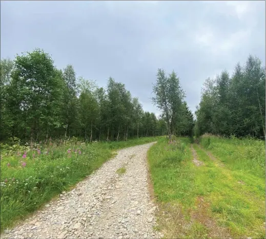  ??  ?? De som ønsker at den oppgradert­e veien ikke skal tilbakefør­es, mener at man også sparer naturen da folk lager nye traseer ved siden av om veien er humpete og dårlig. – Reinsdyren­e trenger ro, parerer leder i reinbeited­istrikt 26, Hans Ole Eira. (Foto: Freddy Ludvik Larsen)