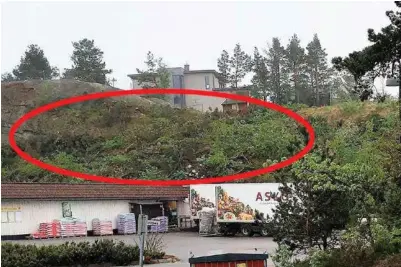 ?? FOTO: PRIVAT ?? Dette bildet viser hvordan traerne stod i den røde sirkelen og dekket hele huset til Langeland-familien som sees på toppen av kollen. Så ble 67 traer felt uten tillatelse.