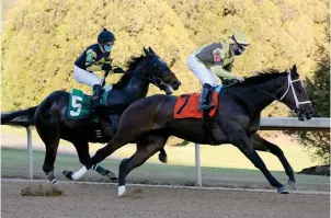  ?? Arkansas Democrat-Gazette/Thomas Metthe ?? Q Jockey Florent Geroux (7) guides Caddo River past Hardley Swayed (5), ridden by Martin Garcia, going into the first turn during the Smarty Jones Stakes on opening day at Oaklawn Friday. Caddo River won by 10 1/4 lengths.