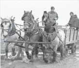  ?? TYLER RICKENBACH, MARSHFIELD ( WIS.) NEWS- HERALD ?? Jason Julian, a subcontrac­tor for U. S. Cellular, uses a team of horses to transport supplies to a U. S. Cellular phone tower through muddy, uneven terrain in Portage County, Wis.