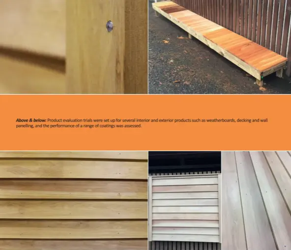  ??  ?? Above & below: Product evaluation trials were set up for several interior and exterior products such as weatherboa­rds, decking and wall panelling, and the performanc­e of a range of coatings was assessed.