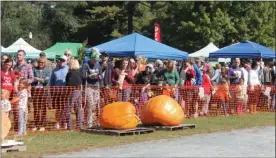  ?? LAUREN HALLIGAN - MEDIANEWS GROUP ?? Attendees check out pumpkins at the fourth annual Saratoga Giant Pumpkinfes­t.