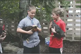  ?? The Sentinel-Record/Richard Rasmussen ?? FEATHERED FRIENDS: Hot Springs Junior Academy eighth-graders Dallas Mitchell, left, and Isaac Booth talk while holding some chickens at the school Friday. The EAST students have been raising chickens from incubation since March as a 4H project, and will use technology and creativity to develop best practices for watering and feeding.