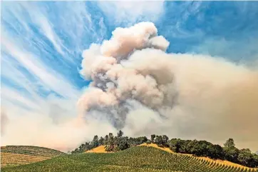  ??  ?? el HUMO del incendio de hennessey se alza sobre un viñedo en el condado de Napa