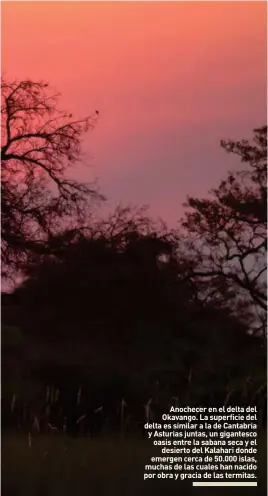  ??  ?? Anochecer en el delta del Okavango. La superficie del delta es similar a la de Cantabria y Asturias juntas, un gigantesco oasis entre la sabana seca y el
desierto del Kalahari donde emergen cerca de 50.000 islas, muchas de las cuales han nacido por...