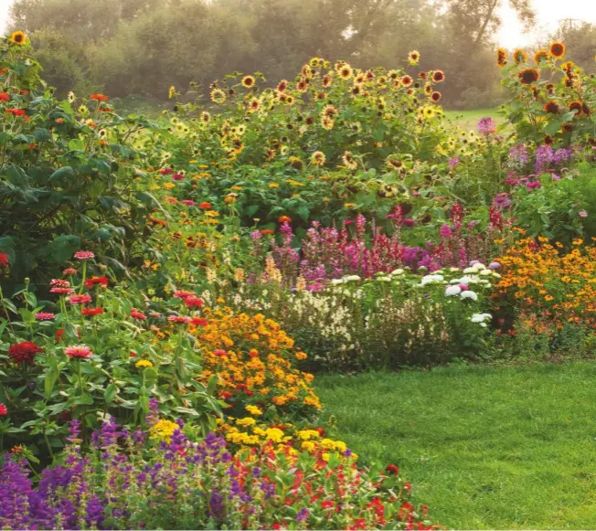  ??  ?? Preceding pages: Bold pink Zinnia elegans create a striking mix with orange Tithonias and Argyranthe­mum, yellow marguerite­s. Above: The glorious annual border at Aston Pottery in Oxfordshir­e includes a fiery mix of Tagetes Orange Gem, Tithonia Fiesta del Sol, sunflowers, Calendula Orange Sunrise, cosmos and nicotiana, sown from seeds and cuttings. These will flower until the first frosts