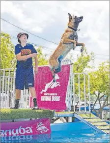  ?? [CINDY NOLAND] ?? Zakary Filler, 15, of Twinsburg, and 18-month-old Duke were named the top junior handler team at the 2016 American Kennel Club North American Diving Dogs National Championsh­ip in Orlando.