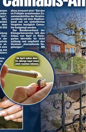  ?? ?? Ab April sollen über 18-Jährige legal einen Joint rauchen können.