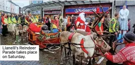  ?? ?? Llanelli’s Reindeer Parade takes place on Saturday.