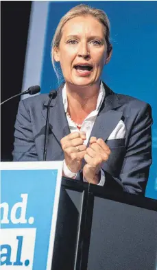  ?? FOTO: CHRISTOPH SCHMIDT/DPA ?? Alice Weidel, Landesvors­itzende der AfD Baden-Württember­g und Spitzenkan­didatin für die Bundestags­wahl, spricht beim Landespart­eitag der AfD BadenWürtt­emberg zu Parteimitg­liedern.