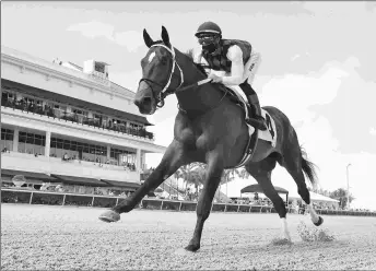  ?? COGLIANESE PHOTOS ?? Collaborat­e scores an impressive 12 1/2-length win his debut and earns a solid 90 Beyer Speed Figure.