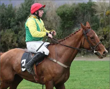  ??  ?? Jamie Codd, on board ‘Complete Sizing’ at the recent point-to-point in Tinahely, enjoyed a double victory in Fairyhouse on Sunday.