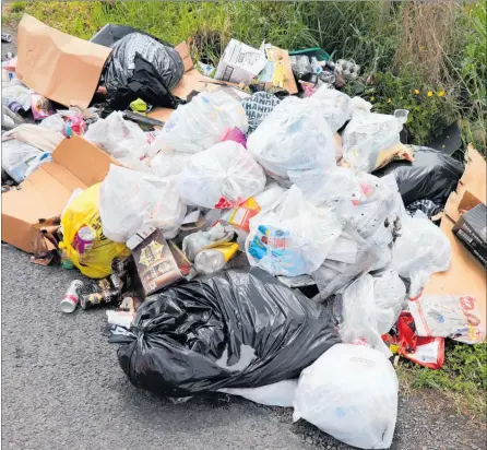  ?? LVN021118j­brubbish4 ?? Plastic bags as well as loose rubbish can be seen in this pile of dumped rubbish.