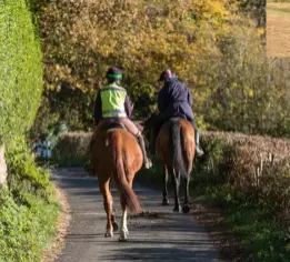  ??  ?? LEFT The tranquil lanes of Hewelsfiel­d in Gloucester­shire’s Wye Valley are perfect for horseridin­g RIGHT Admire the spectacula­r gorge from Symonds Yat Rock, a viewing point on the border of Wales and England, where you can also spot wildlife and birds of prey