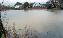  ?? JOHN LEWIS ?? Stormwater and runoff from a neighbouri­ng farm discolour Lake Killarney near Takaka.