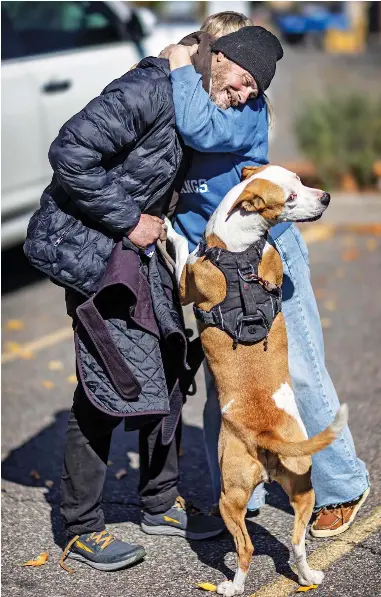 Protecting pets or hounding homeless? - PressReader