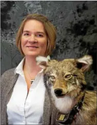  ?? PHOTO COURTESY GREAT SWAMP CONSERVANC­Y ?? SUNY ESF associate professor Jacqueline Frair will discuss her research with coyotes at the Great Swamp Conservanc­y’s 20th anniversar­y celebratio­n on Sunday, Nov. 12, 2017, at 2p.m.