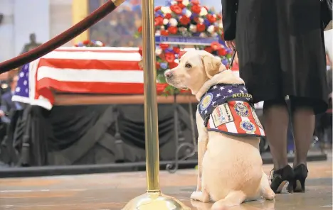  ?? MANUEL BALCE CENETA/AP ?? Sully, former President George H.W. Bush's service dog, sits beneath Bush's casket. ‘Everybody has a tendency to focus on his passion, compassion, his humanity, his decency, his integrity, and they forget some of the achievemen­ts of his presidency,' former Gov. Tom Ridge said.