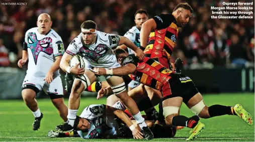  ?? HUW EVANS AGENCY ?? > Ospreys forward Morgan Morse looks to break his way through the Gloucester defence