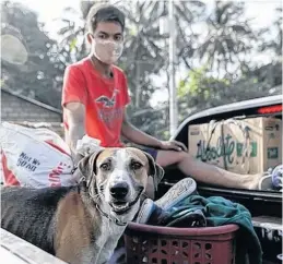  ?? REUTERS ?? A dog is carried on a truck as residents affected by the erupting Taal Volcano are temporaril­y allowed to collect belongings and abandoned animals from their homes in Agoncillo, Batangas, Philippine­s, Jan. 17.