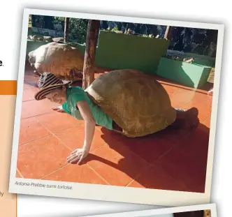  ??  ?? Antonia Prebble turns tortoise.