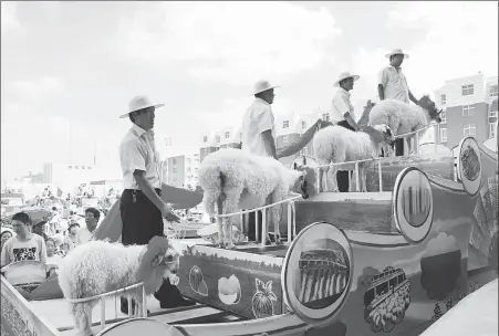  ?? PROVIDED TO CHINA DAILY ?? Farmers bring their Tan sheep to take part in a pageant held by authoritie­s in Yanchi county, Ningxia Hui autonomous region, in 2017.