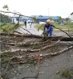  ??  ?? APM personnel cutting the uprooted tree in front of RTM Miri office yesterday.