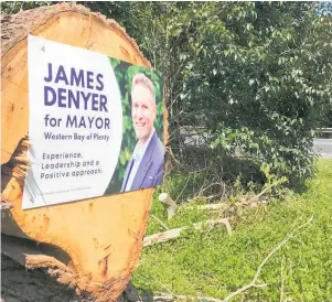  ?? ?? Mayoral candidate James Denyer has found a novel place for one of his election signs.