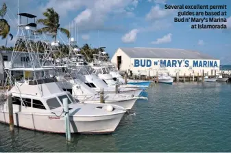  ??  ?? Several excellent permit guides are based at Bud n’ Mary’s Marina at Islamorada