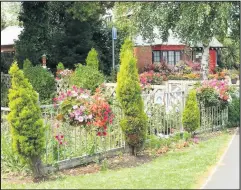  ??  ?? ■
Forest Road Green Belt. Still a joy to behold for all who pass through. The late Harry Cook’s dream kept alive by Pat Cook and her team of local volunteers