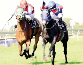  ??  ?? PICK-UP RIDE. Piere Strydom will be riding Sean Tarry-trained Finchatton in today's Peermont Emperors Charity Mile at Turffontei­n. He got the ride after Callan Murray was badly bruised in a fall at Fairview yesterday and is unable to ride at the meeting