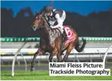  ??  ?? Miami Fleiss Picture: Trackside Photograph­y