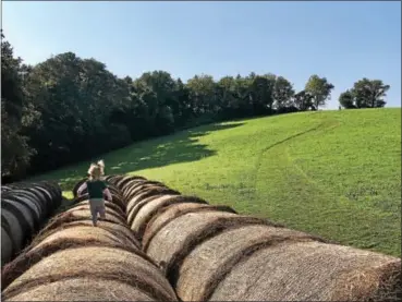  ?? SUBMITTED PHOTO – BETH UHLER ?? Beth Uhler won first place in the adult photograph­er category of the Landscapes­3photo contest for her photo, “Running on Hay Bales.”