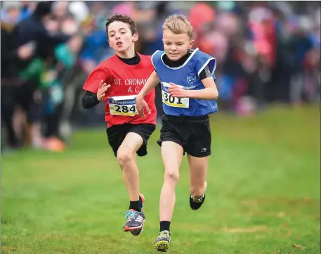  ??  ?? Luke Merrigan of Kenmare AC competing in the boys U11 1500m race during the Irish Life Health Novice &amp; Juvenile Uneven Age Cross Country Championsh­ips at Navan Adventure Sports, Navan Racecourse in Meath. Photo by Eóin Noonan/Sportsfile