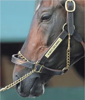  ?? GEOFF BURKE, USA TODAY SPORTS ?? Kentucky Derby winner Always Dreaming is a 4-5 favorite for Saturday’s Preakness.