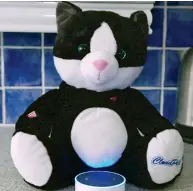  ??  ?? Vulnerable: The toy cat and Amazon Echo