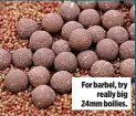  ??  ?? For barbel, try really big 24mm boilies.