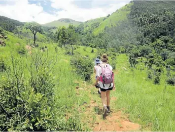  ?? Pictures: KATE SIDLEY ?? COOL CAFÉ: The writer’s son, Joe, fills his bottle with mountain water from a stream in the indigenous forest, left; and out on the trail, above